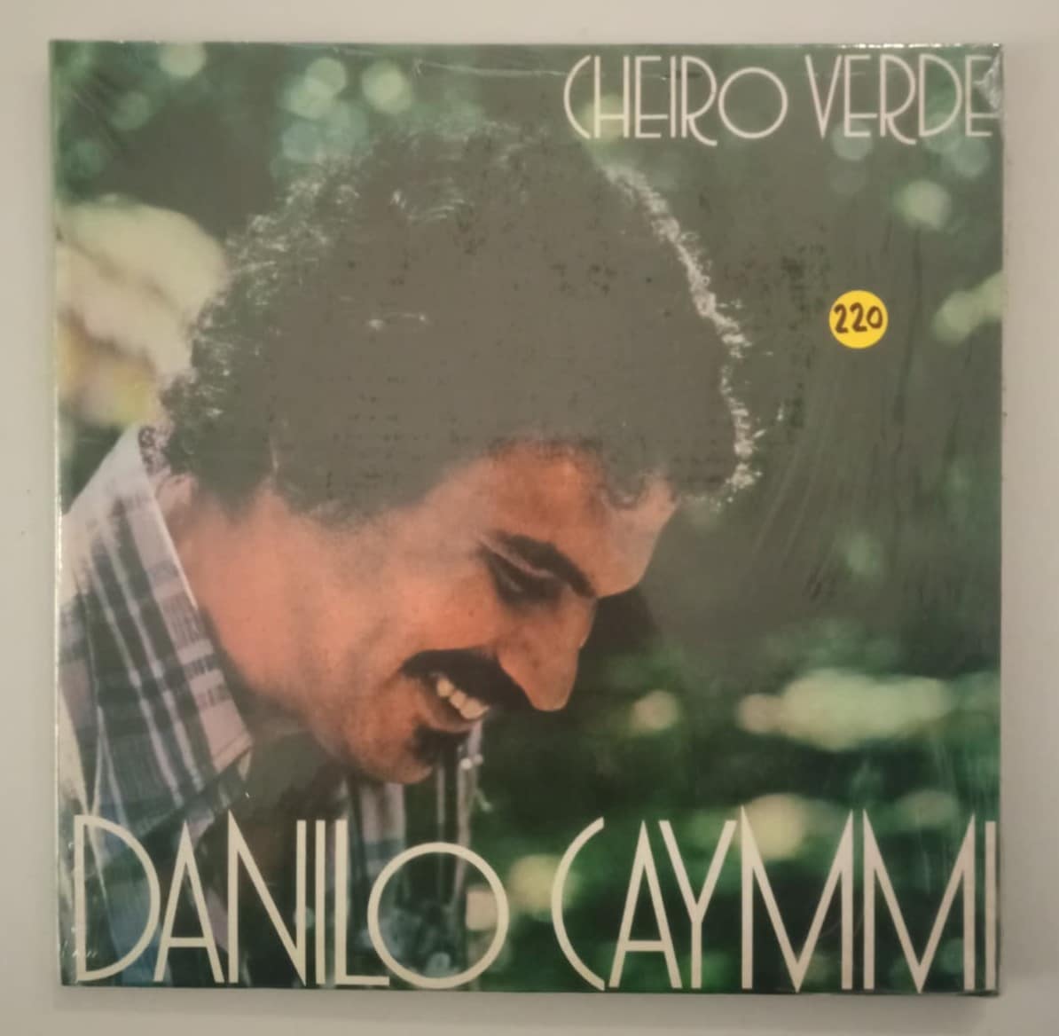 Danilo Caymmi - Cheiro Verde