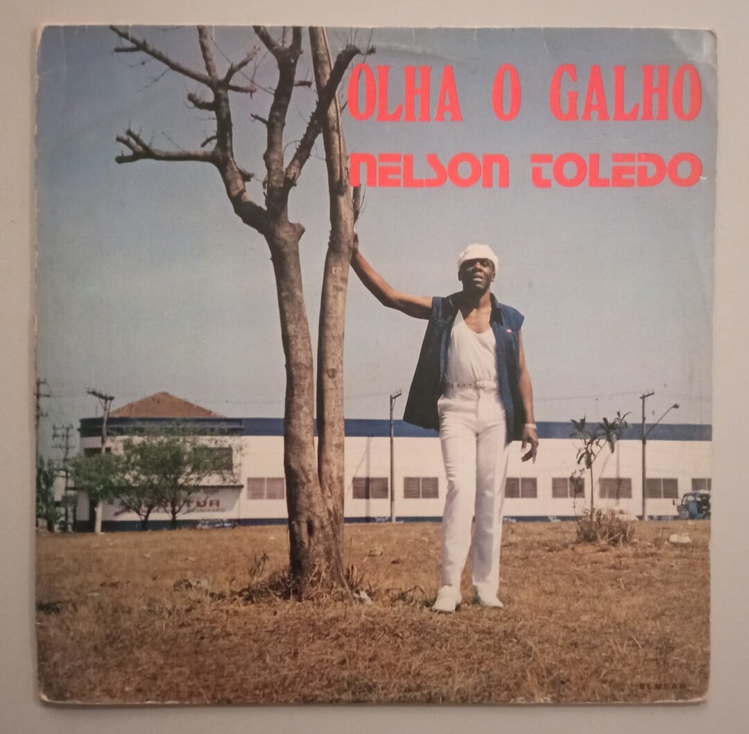 Nelson Toledo - Olha O Galho