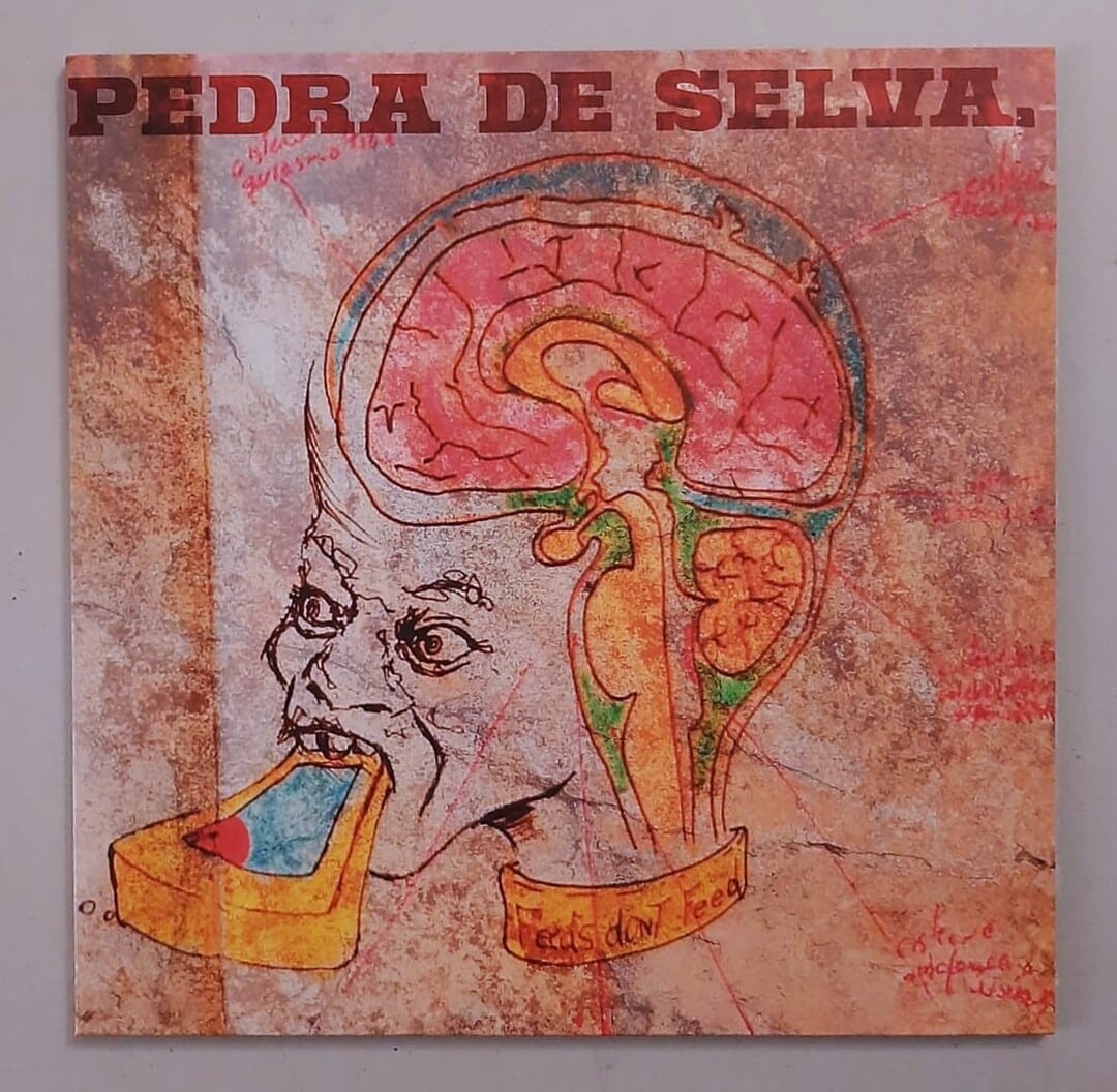 Curumin – Pedra De Selva