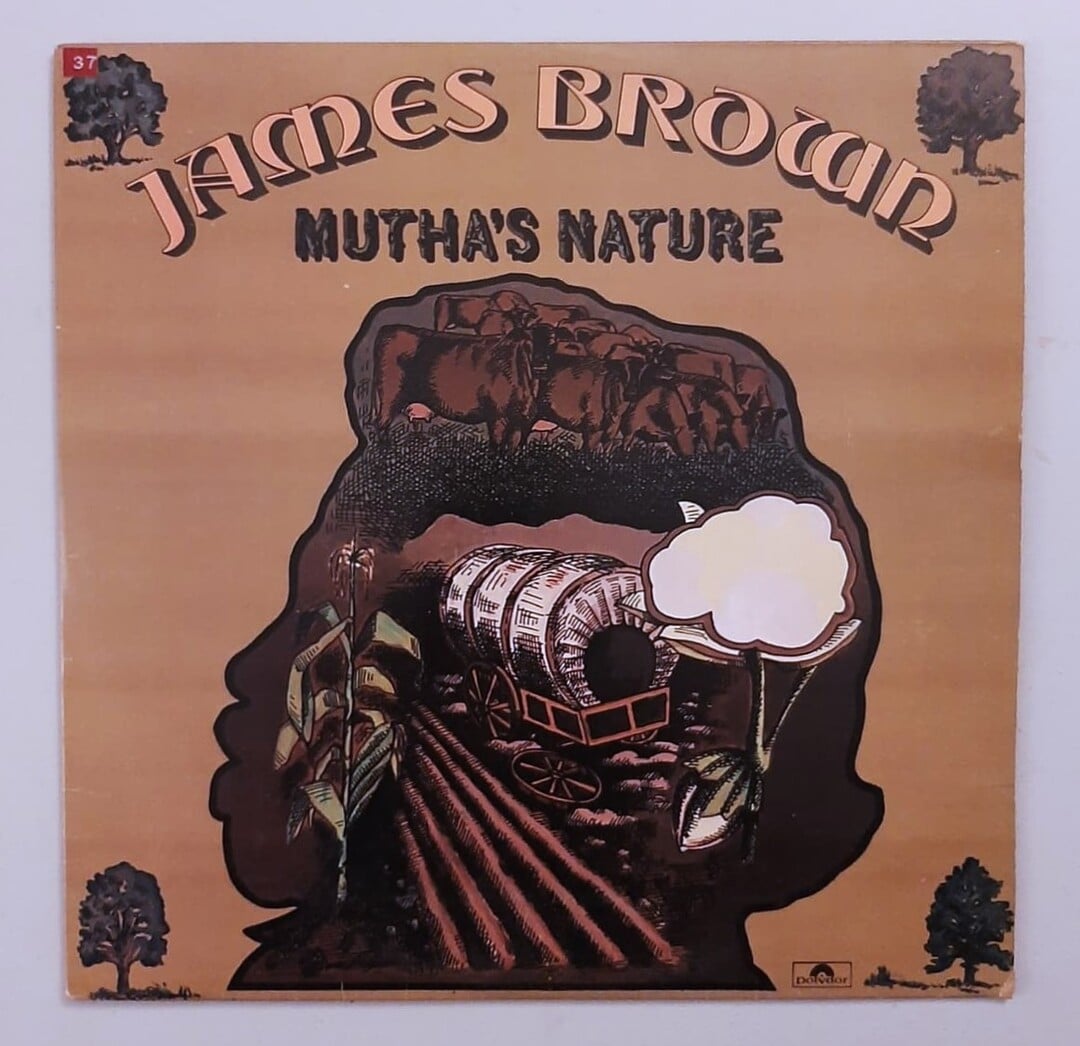 James Brown And The New J.B.'s – Mutha's Nature